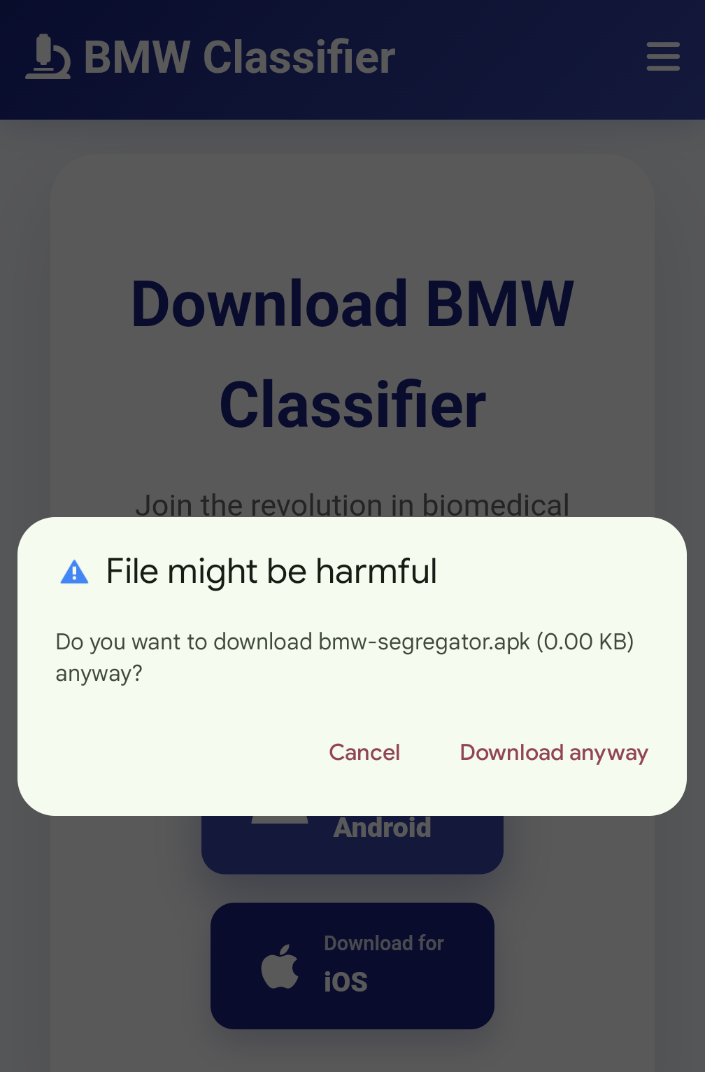 Security warning dialog